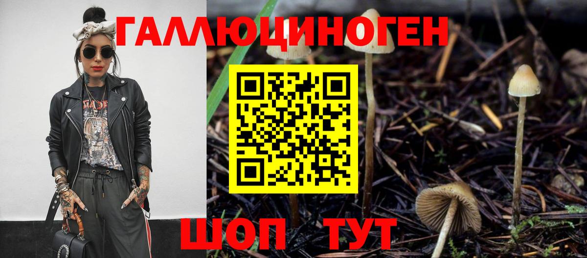 Вышний Волочёк  Галлюциногенные грибы Psilocybe  Вход с VPN 